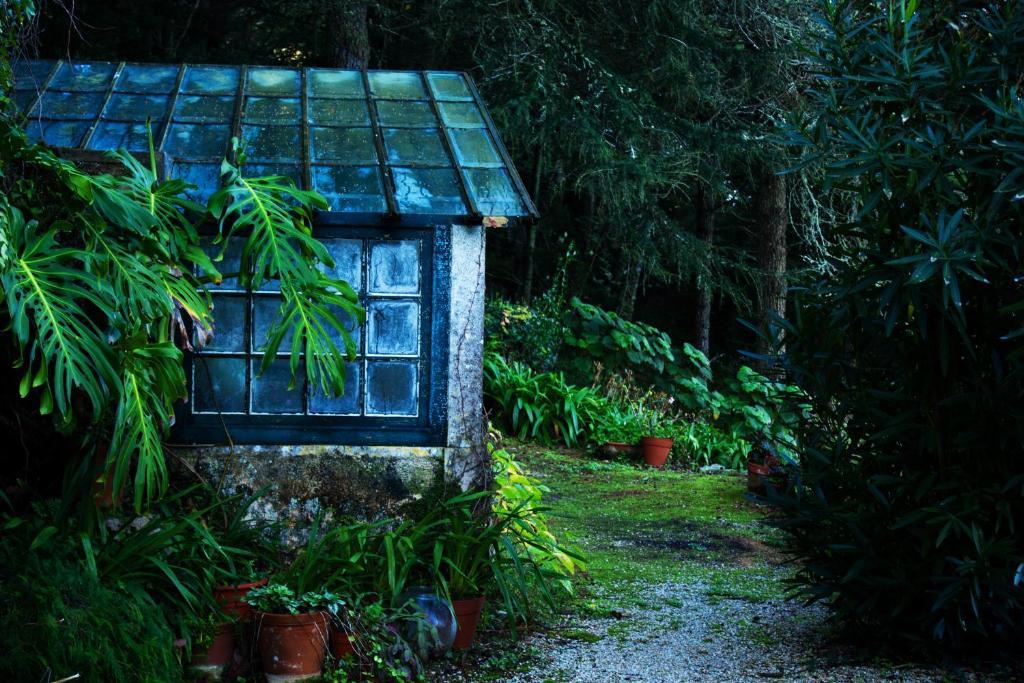 Almaa Sintra Hostel Εξωτερικό φωτογραφία